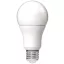 LED izzó, E27, gömb, A60, 8W, 806lm, 3000K, AVIDE