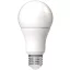 LED izzó, E27, gömb, A60, 9,5W, 1055lm, 6400K, AVIDE