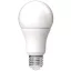 LED izzó, E27, gömb, A60, 13W, 1521lm, 4000K, AVIDE