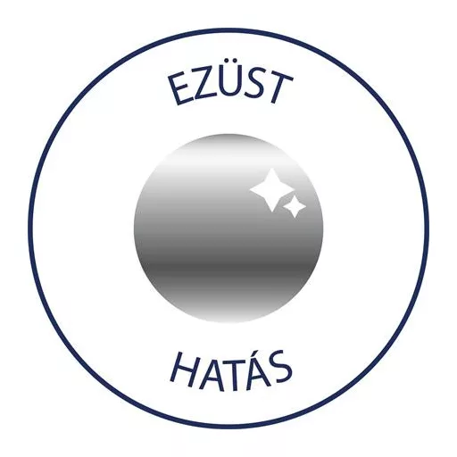 Ablakmatrica,  2 ív, AVERY ZWECKFORM, "Z-Desing No.52812", ezüst csillagok