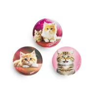   Matrica, tépőzáras, Classy Plus táskához, BELMIL "Cats", cica