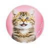 Matrica, tépőzáras, Classy Plus táskához, BELMIL "Cats", cica