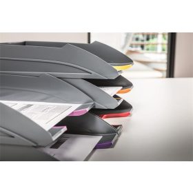   Irattálca szett, műanyag, 5 részes, DURABLE "VARICOLOR® 5"