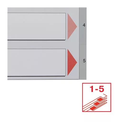 Regiszter, műanyag, A4, 1-5, ESSELTE, szürke