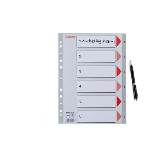 Regiszter, műanyag, A4, 1-6, ESSELTE, szürke