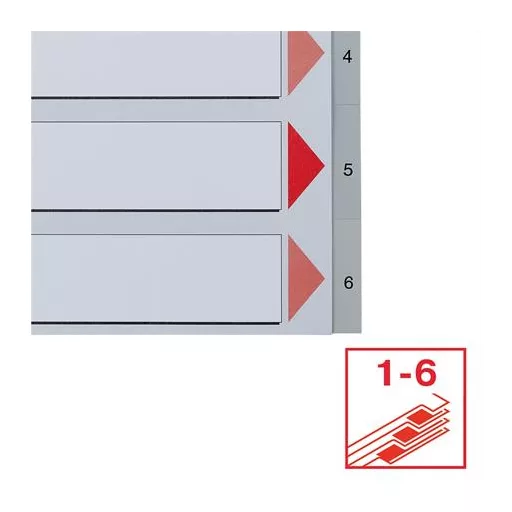 Regiszter, műanyag, A4, 1-6, ESSELTE, szürke