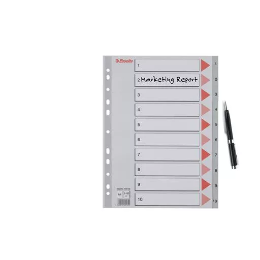 Regiszter, műanyag, A4, 1-10, ESSELTE,szürke