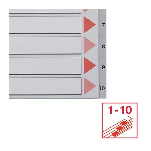 Regiszter, műanyag, A4, 1-10, ESSELTE,szürke