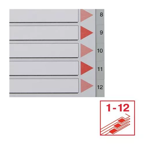 Regiszter, műanyag, A4, 1-12, ESSELTE, szürke