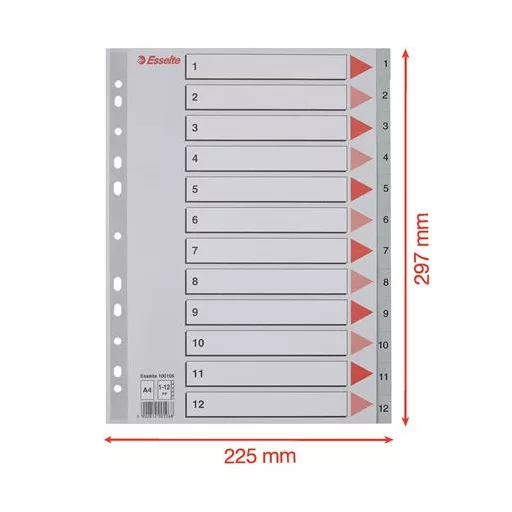 Regiszter, műanyag, A4, 1-12, ESSELTE, szürke