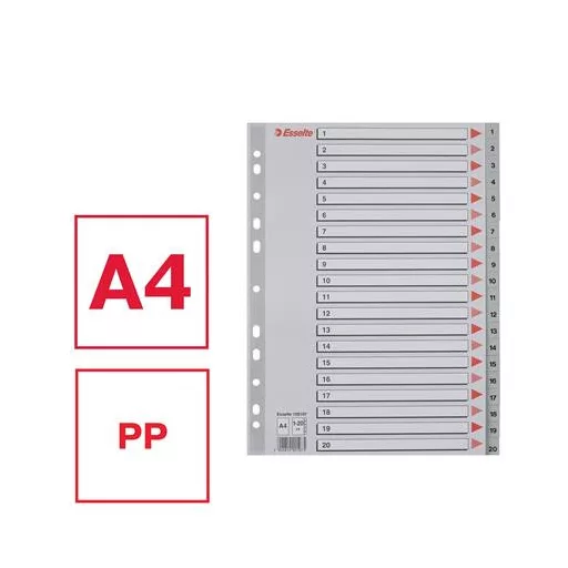 Regiszter, műanyag, A4, 1-20, ESSELTE, szürke