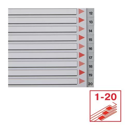 Regiszter, műanyag, A4, 1-20, ESSELTE, szürke