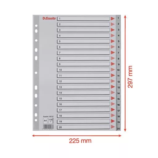 Regiszter, műanyag, A4, 1-20, ESSELTE, szürke