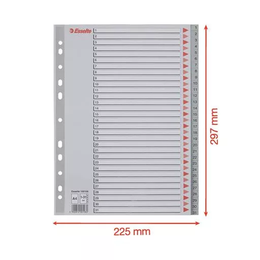 Regiszter, műanyag, A4, 1-31, ESSELTE, szürke