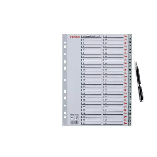 Regiszter, műanyag, A4, 1-54, ESSELTE, szürke