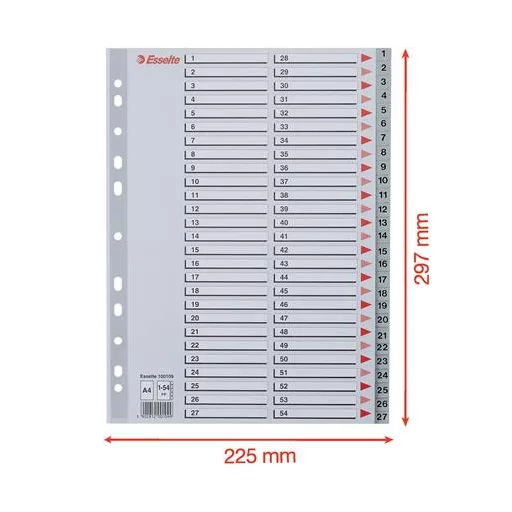 Regiszter, műanyag, A4, 1-54, ESSELTE, szürke