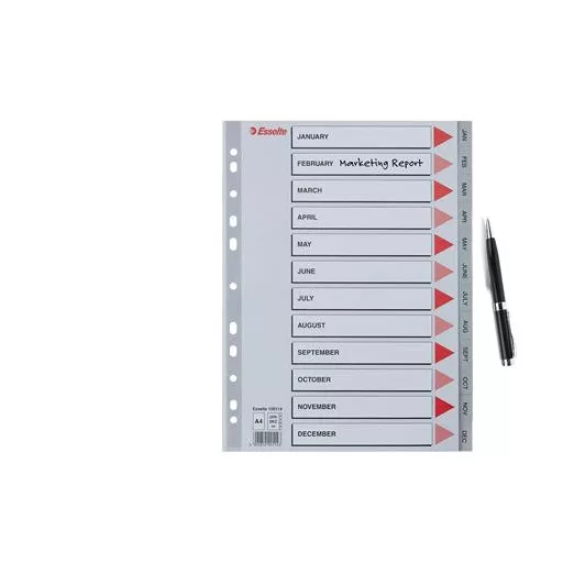 Regiszter, műanyag, A4, Jan-Dec, ESSELTE, szürke