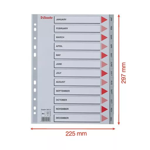 Regiszter, műanyag, A4, Jan-Dec, ESSELTE, szürke