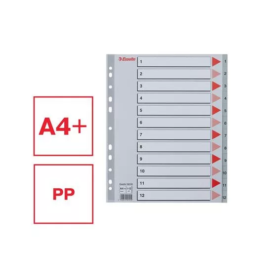Regiszter, műanyag, A4 Maxi, 1-12, ESSELTE, szürke
