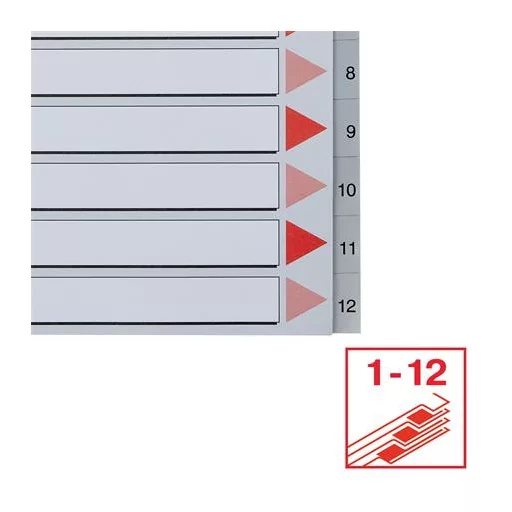 Regiszter, műanyag, A4 Maxi, 1-12, ESSELTE, szürke