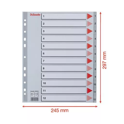 Regiszter, műanyag, A4 Maxi, 1-12, ESSELTE, szürke
