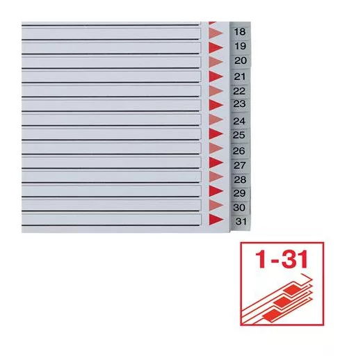 Regiszter, műanyag, A4 Maxi, 1-31, ESSELTE, szürke