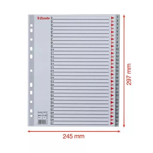Regiszter, műanyag, A4 Maxi, 1-31, ESSELTE, szürke