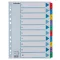 Regiszter, karton, A4, 1-10, ESSELTE "Mylar"