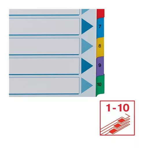 Regiszter, karton, A4, 1-10, ESSELTE "Mylar"