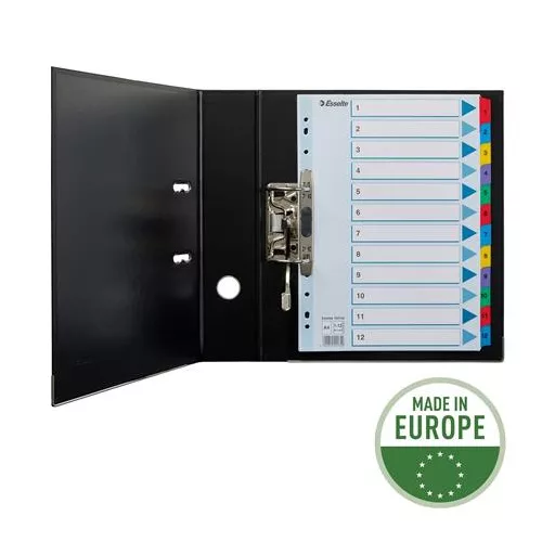 Regiszter, karton, A4, 1-12, ESSELTE "Mylar"