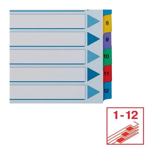 Regiszter, karton, A4, 1-12, ESSELTE "Mylar"