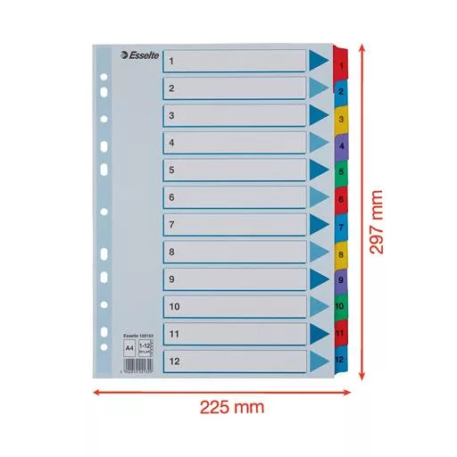 Regiszter, karton, A4, 1-12, ESSELTE "Mylar"
