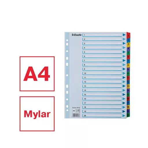 Regiszter, karton, A4, 1-20, ESSELTE "Mylar"