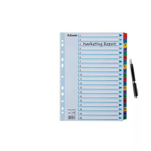 Regiszter, karton, A4, 1-20, ESSELTE "Mylar"