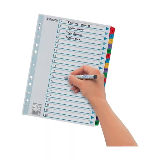 Regiszter, karton, A4, 1-20, ESSELTE "Mylar"