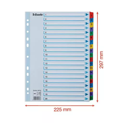 Regiszter, karton, A4, 1-20, ESSELTE "Mylar"