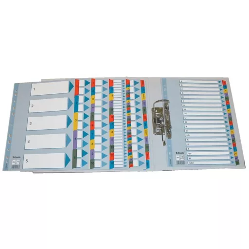 Regiszter, karton, A4, 1-20, ESSELTE "Mylar"