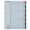Regiszter, karton, A4, 1-31, ESSELTE "Mylar"