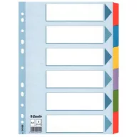   Regiszter, laminált karton, A4, 6 részes, ESSELTE "Mylar"