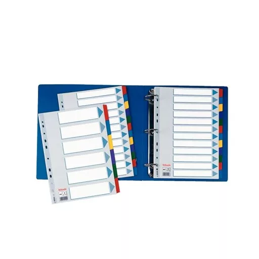 Regiszter, laminált karton, A4, 6 részes, ESSELTE "Mylar"
