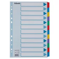   Regiszter, laminált karton, A4, 12 részes, ESSELTE "Mylar"