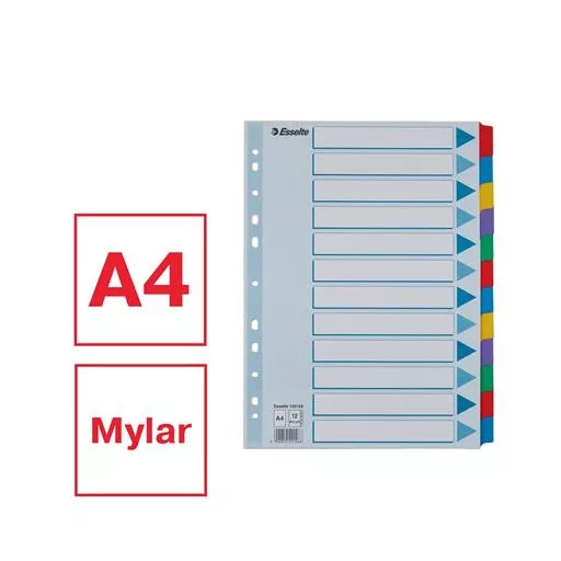 Regiszter, laminált karton, A4, 12 részes, ESSELTE "Mylar"
