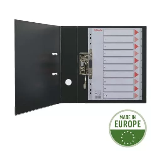 Regiszter, laminált karton, A4, 12 részes, ESSELTE "Mylar"
