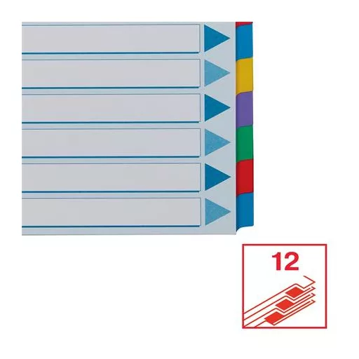 Regiszter, laminált karton, A4, 12 részes, ESSELTE "Mylar"