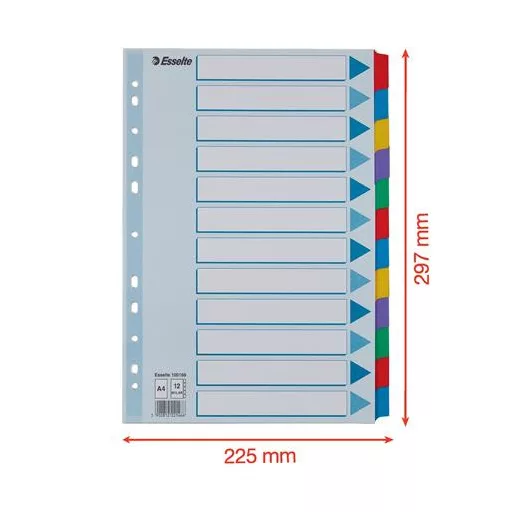 Regiszter, laminált karton, A4, 12 részes, ESSELTE "Mylar"