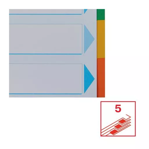 Regiszter, karton, A4, 5 részes, írható előlappal, ESSELTE "Standard", színes