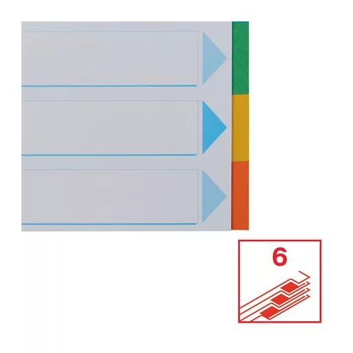 Regiszter, karton, A4, 6 részes, írható előlappal, ESSELTE "Standard", színes