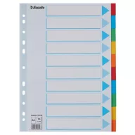   Regiszter, karton, A4, 10 részes, írható előlappal, ESSELTE "Standard", színes