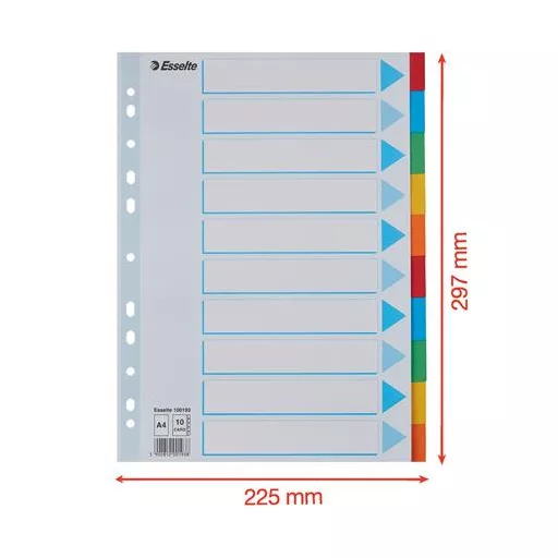 Regiszter, karton, A4, 10 részes, írható előlappal, ESSELTE "Standard", színes