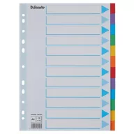   Regiszter, karton, A4, 12 részes, írható előlappal, ESSELTE "Standard", színes